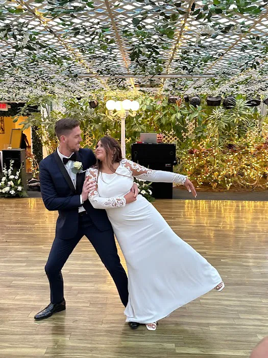 A Perfect Wedding Dance Picture 5
