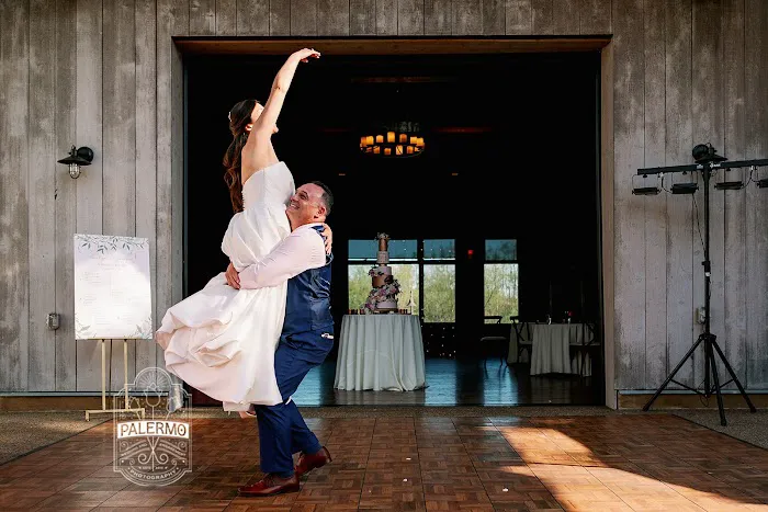 A Perfect Wedding Dance Picture 10