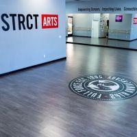 Distrct Arts ico