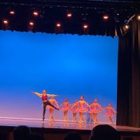Nevada School of Dance ico