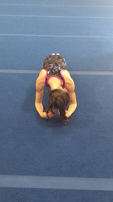 No Limit Picture 4