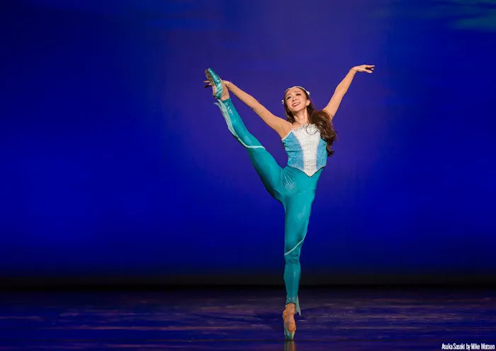 Colorado Ballet Picture 10