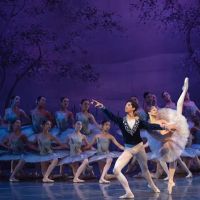 City Ballet San Francisco ico