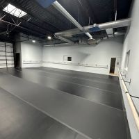 The Terrell Davis Academy of Dance ico