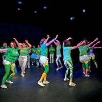 Samba Colorado Dance School & Company ico