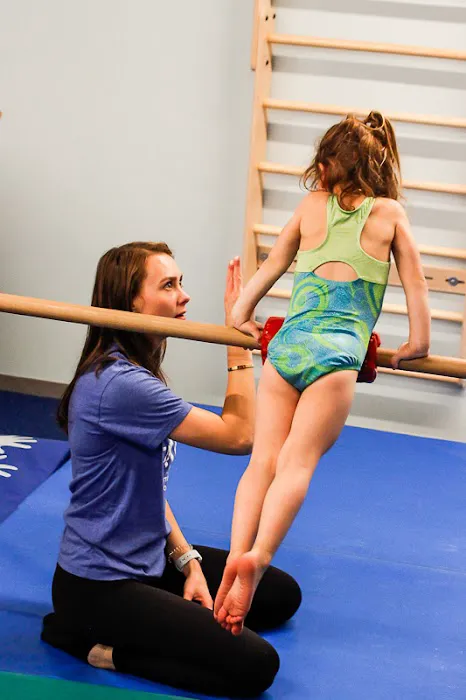 Ta Da Gymnastics Studio Picture 3