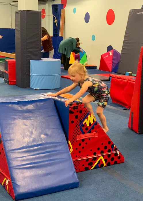 Ta Da Gymnastics Studio Picture 8
