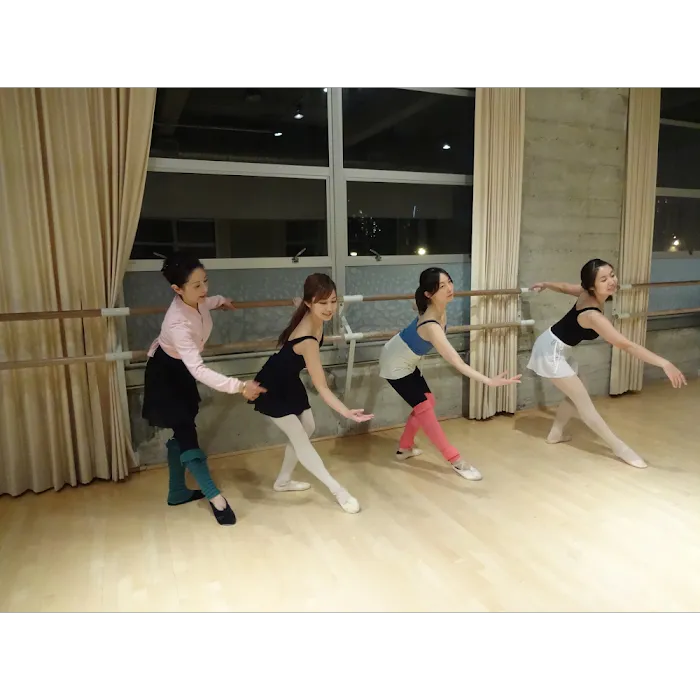 Monique's Ballet SF Picture 3