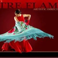 Theatre Flamenco of San Francisco ico