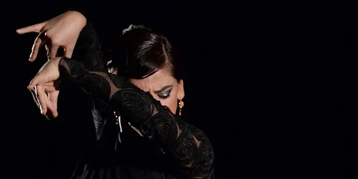 Theatre Flamenco of San Francisco Picture 8