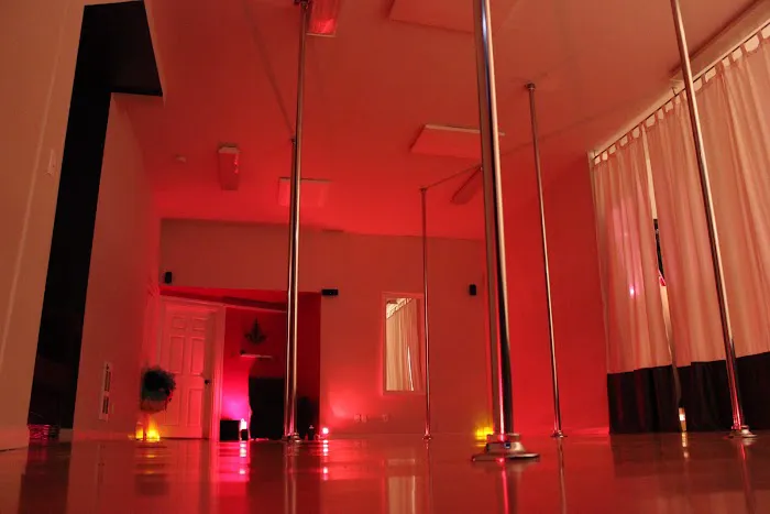 Entangle & Sway Pole Dance Fitness Picture 3