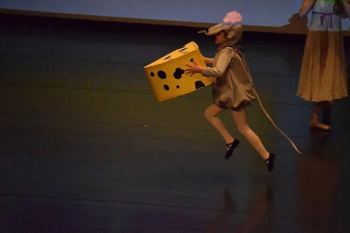 Dance Conservatory of Denver Picture 2