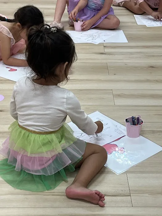 Tutu School Arvada Picture 8