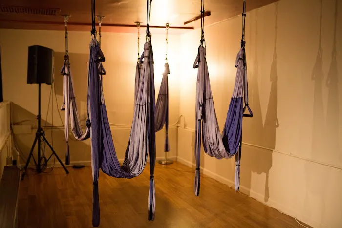 Sisters in Motion - S Factor Pole Dance & Embodiment Studio Picture 4