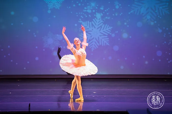 Dance Conservatory at HSArts Picture 2