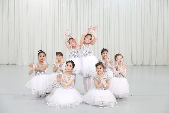 Dance Conservatory at HSArts Picture 4