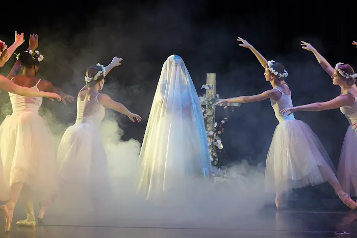 Park Hill Dance Academy Picture 4