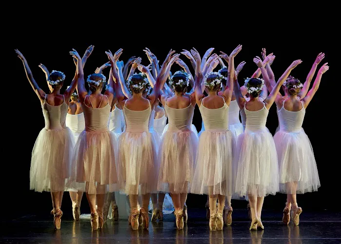 Park Hill Dance Academy Picture 1