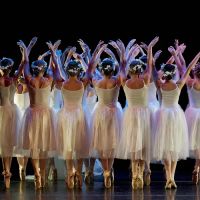 Park Hill Dance Academy ico