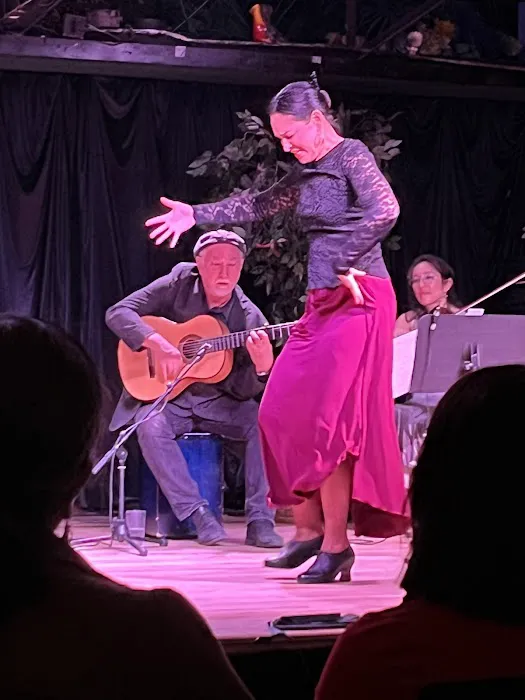 Maria Vazquez - Flamenco Denver Picture 1