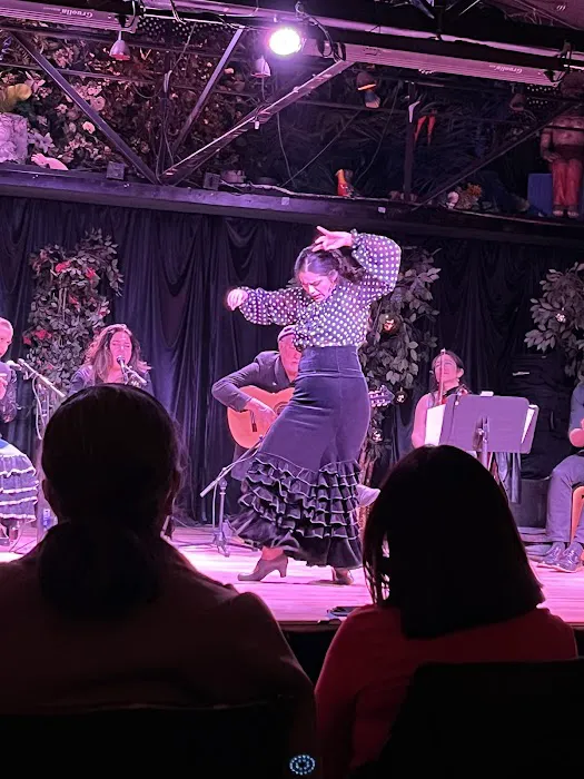 Maria Vazquez - Flamenco Denver Picture 2