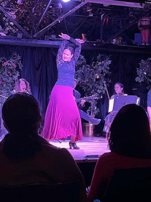 Maria Vazquez - Flamenco Denver Picture 3
