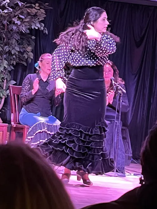 Maria Vazquez - Flamenco Denver Picture 4