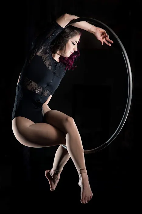Gravity Aerial Arts Picture 6