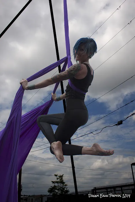 Gravity Aerial Arts Picture 7