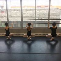 Ballet Melange Academy ico