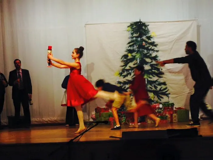 Dance Institute Picture 2