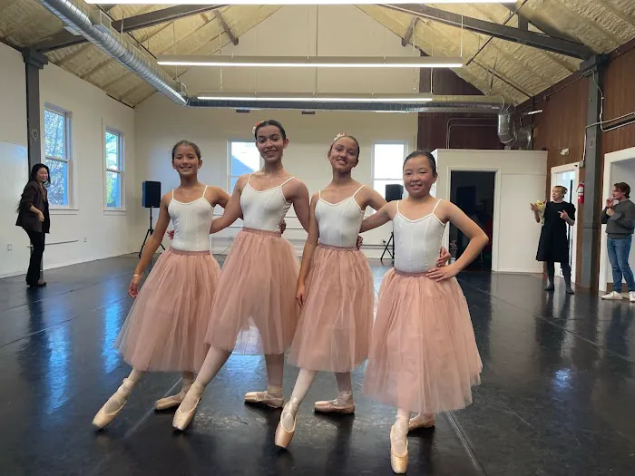 Moving Arts Academy of Dance Picture 4