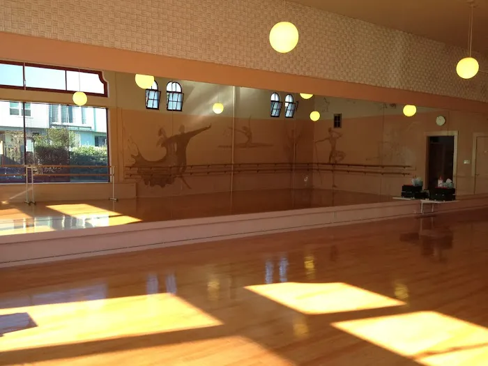 Star Dance Studio Picture 4
