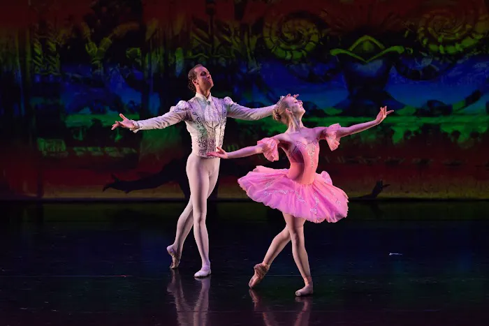 Ballet Melange Picture 1