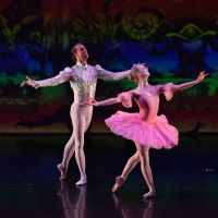 Ballet Melange ico