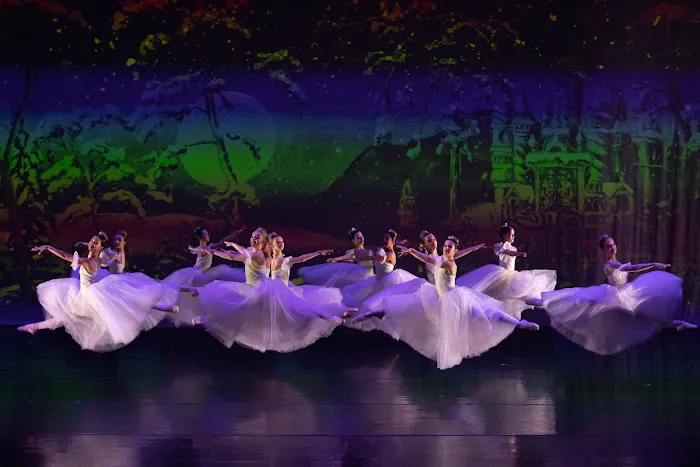 Ballet Melange Picture 3