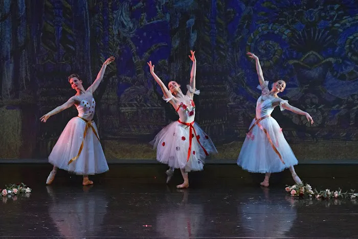 Ballet Melange Picture 6