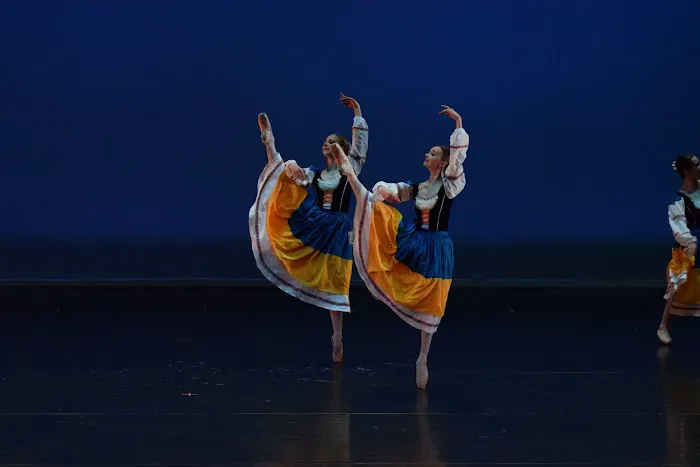 Ballet Melange Picture 4