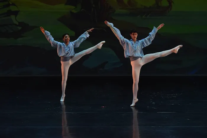 Ballet Melange Picture 5