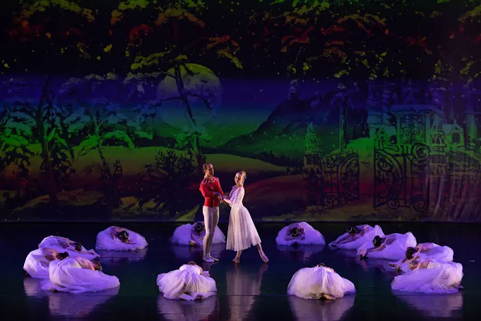 Ballet Melange Picture 2