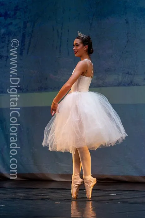 Virtuosity Dance Centre, LLC Picture 4