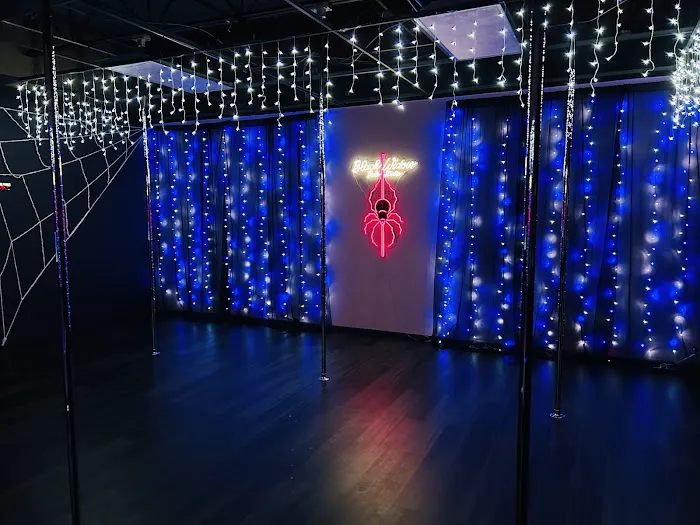 Black Widow Pole Studio Picture 1