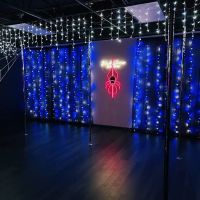 Black Widow Pole Studio ico