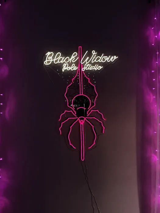 Black Widow Pole Studio Picture 6