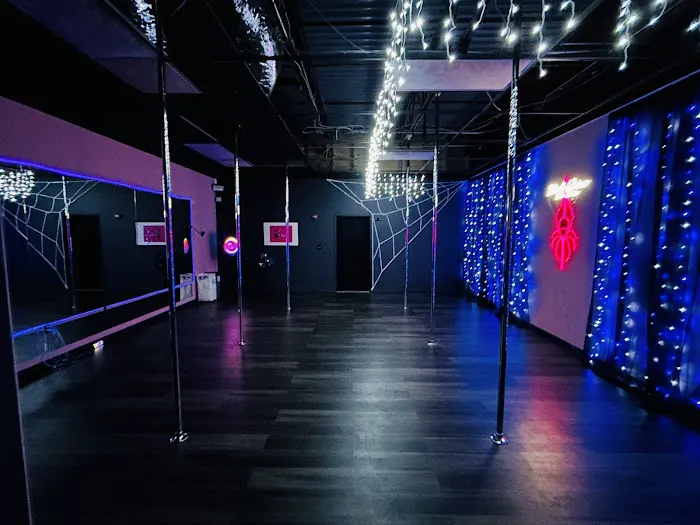 Black Widow Pole Studio Picture 2