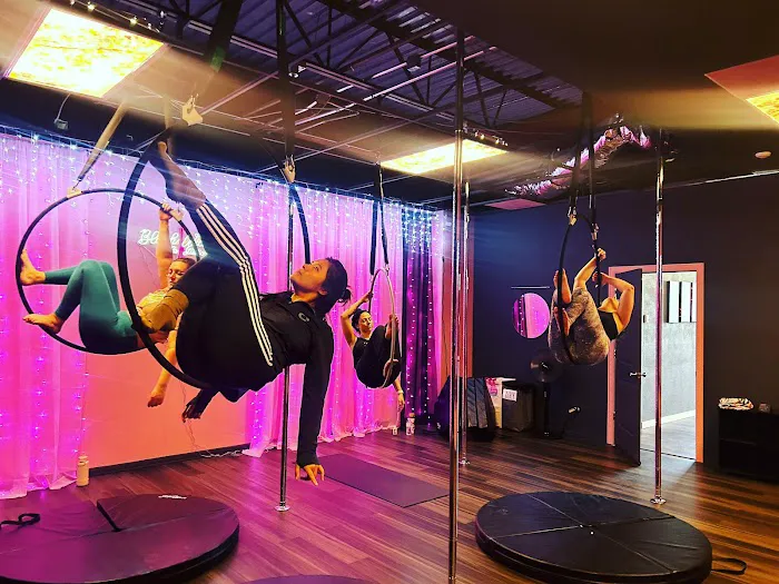 Black Widow Pole Studio Picture 3