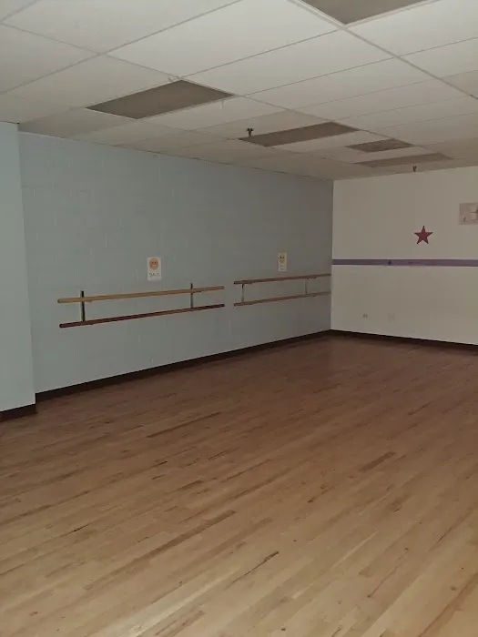 Premier School of Dance Picture 1