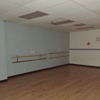 Premier School of Dance ico