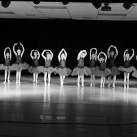 Elevate Dance Center ico