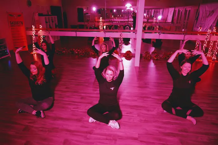 SassiFit Dance Fitness LLC - Littleton Picture 1